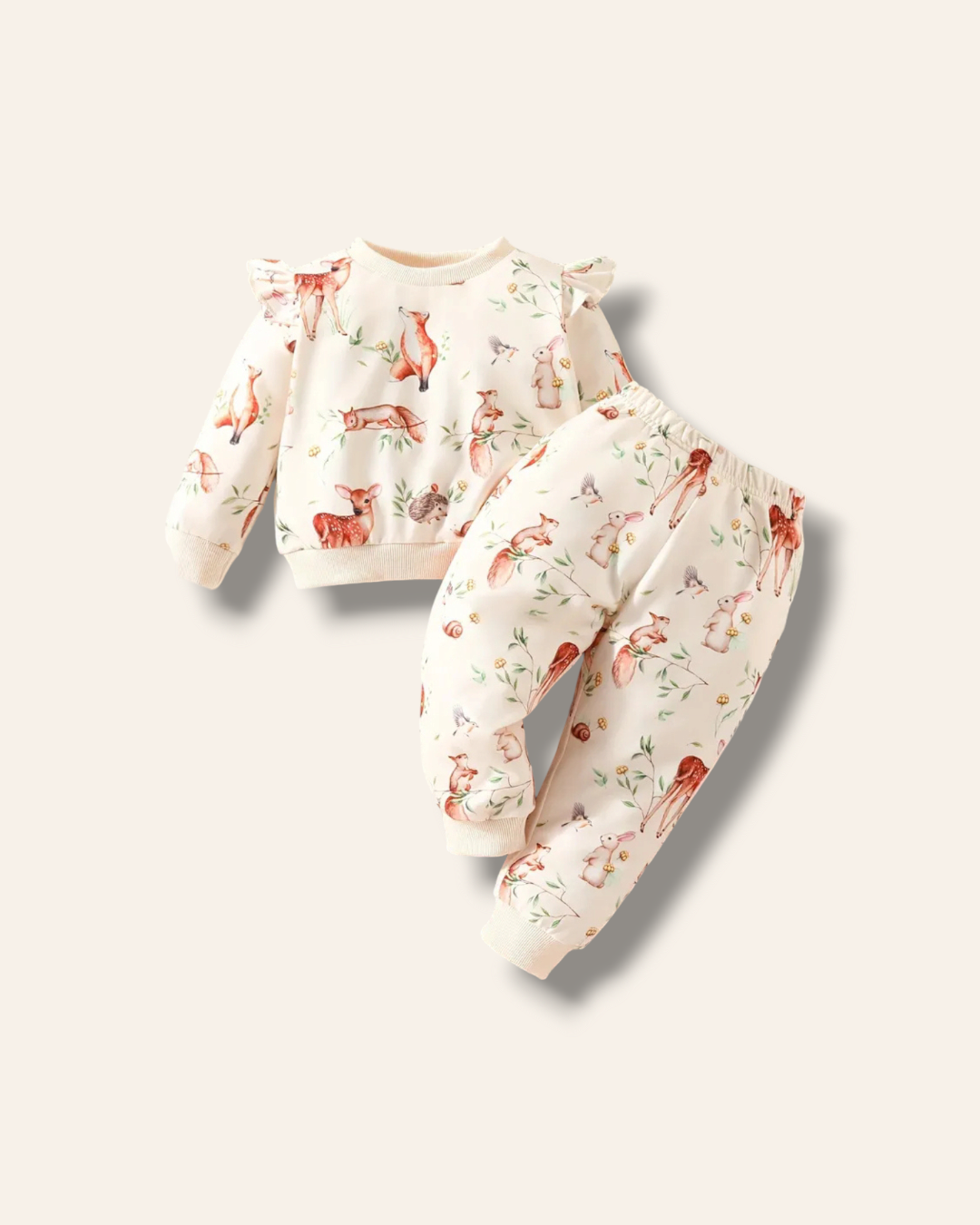 Conjunto 18-24 meses CG117