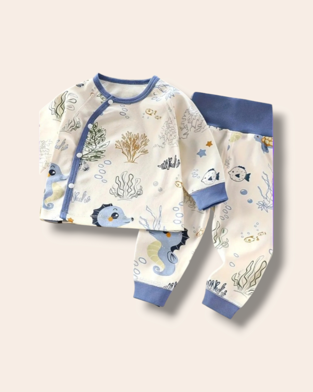 Conjunto 9-12 meses CB178