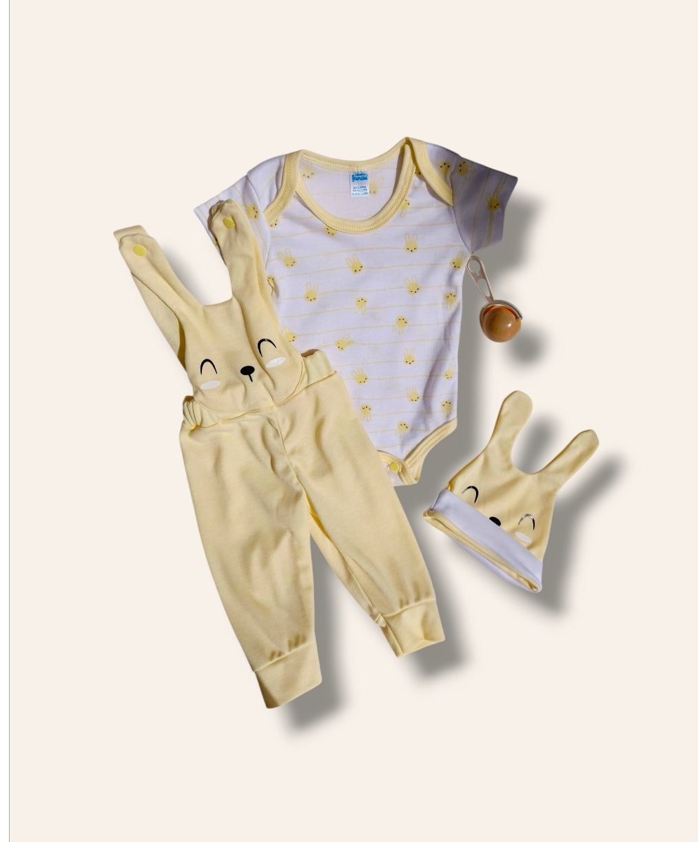 Conjunto 0-3 meses CB365