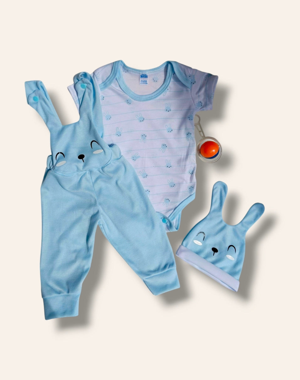 Conjunto 0-3 meses CB363