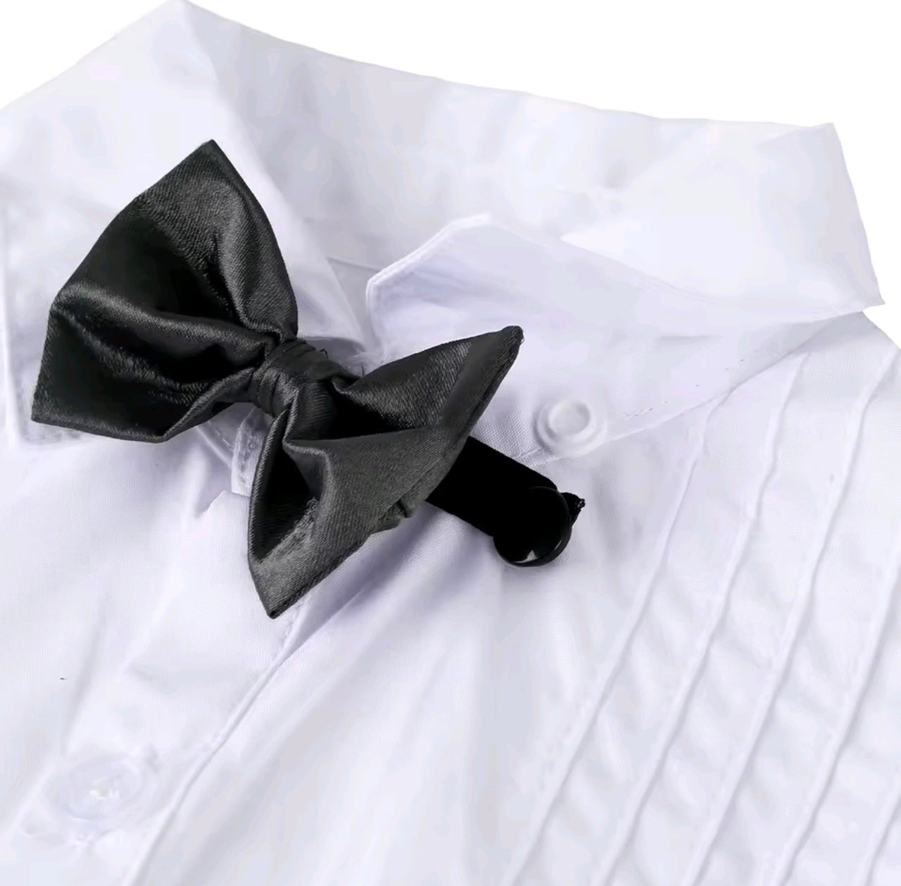 Conjunto Alessandro