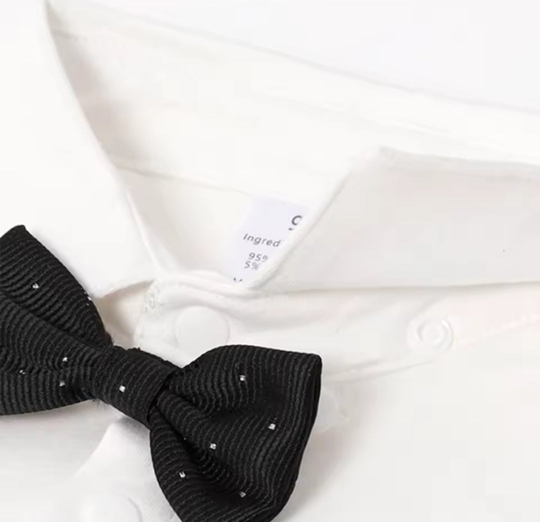 Conjunto Vittorio