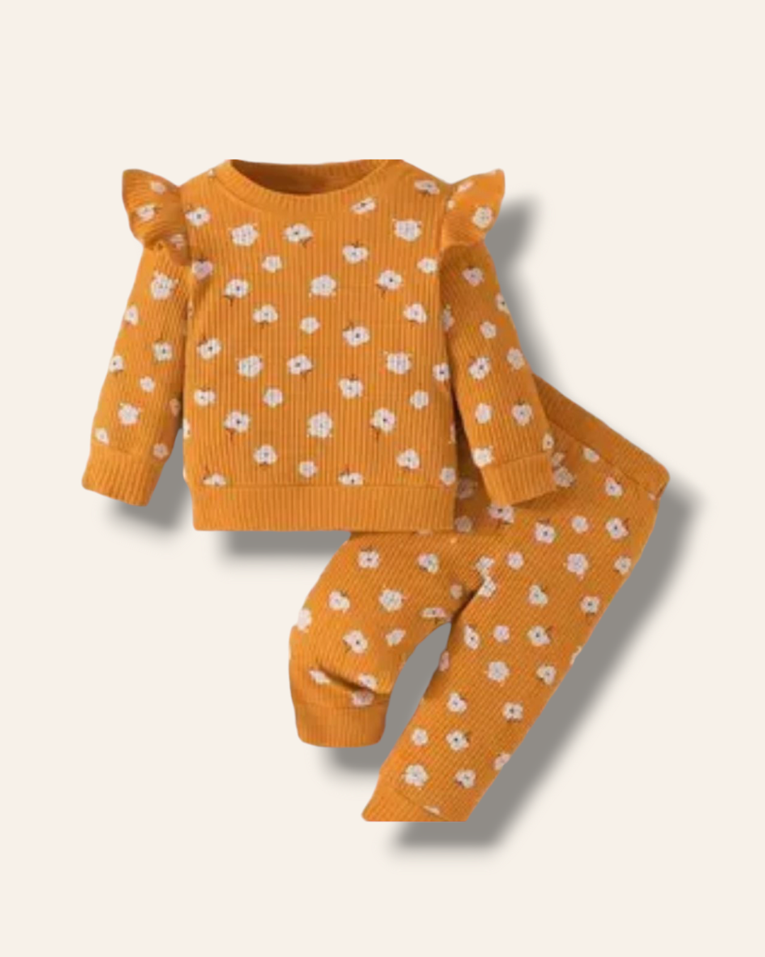 Conjunto 18-24 meses CG120