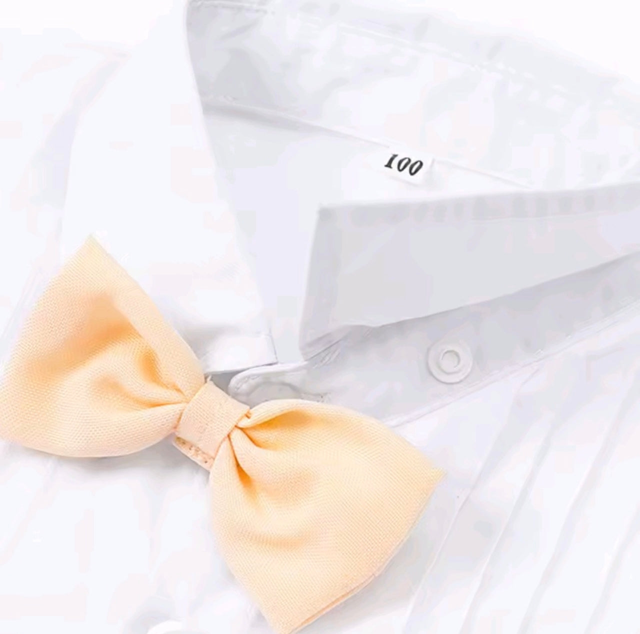 Conjunto Marcelo